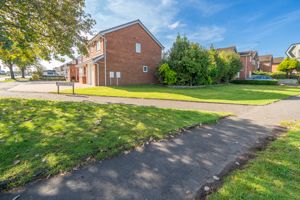 SIDE LAWN- click for photo gallery